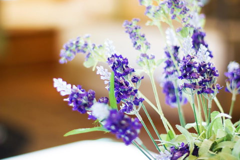 Marwood Villas - Northern Rivers Accommodation 7