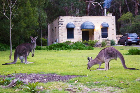 Marwood Villas - Northern Rivers Accommodation 31