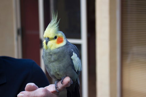 Marwood Villas - Northern Rivers Accommodation 33