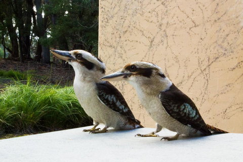 Marwood Villas - Northern Rivers Accommodation 13