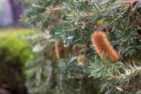 Marwood Villas - Northern Rivers Accommodation 34