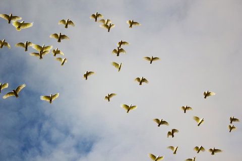 Marwood Villas - Northern Rivers Accommodation 36