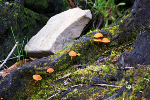 Marwood Villas - Northern Rivers Accommodation 29