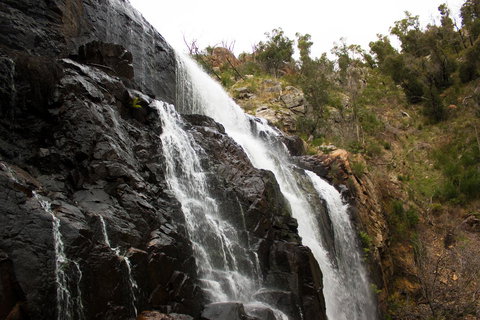 Marwood Villas - Northern Rivers Accommodation 38