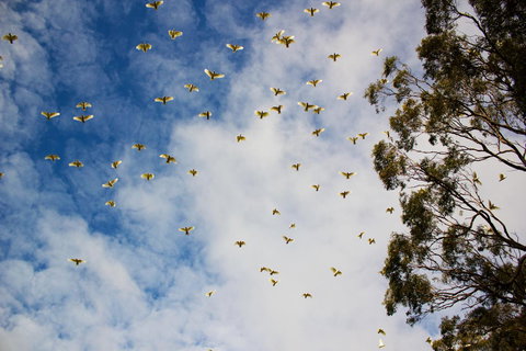 Marwood Villas - Northern Rivers Accommodation 26