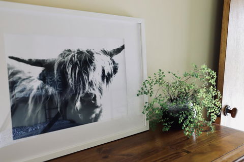 Red Ceder Cottage - Great Ocean Road - Port Campbell - Northern Rivers Accommodation 5