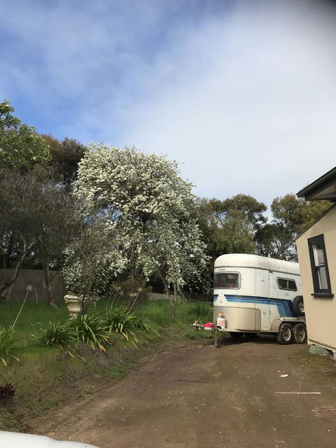 Hillâ€™s Creek Holiday Home - Northern Rivers Accommodation 6