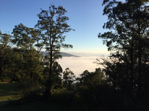 The Dan - Northern Rivers Accommodation 25