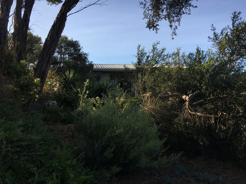 Andrew's On Topaz - Northern Rivers Accommodation 7