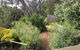 Andrew's On Topaz - thumb 3