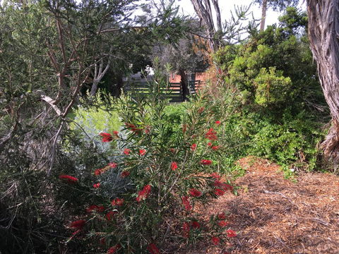 Andrew's On Topaz - Northern Rivers Accommodation 1