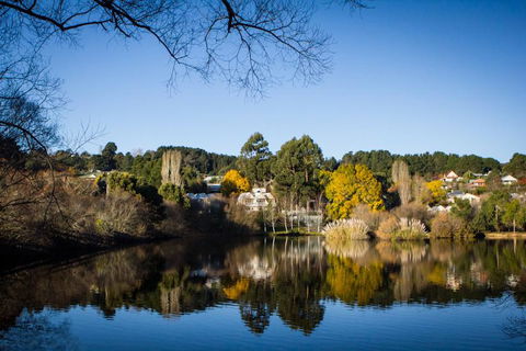 Chestnut Daylesford - Northern Rivers Accommodation 14