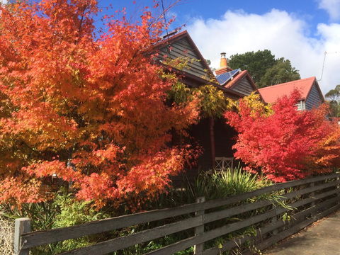 Chestnut Daylesford - Northern Rivers Accommodation 13