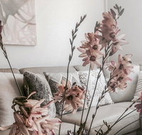 Bed of Roses - Northern Rivers Accommodation