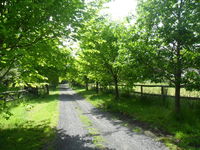 Book Wonga Park Accommodation Vacations Northern Rivers Accommodation Northern Rivers Accommodation