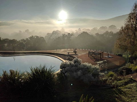Kangaroo Manor - Northern Rivers Accommodation 6