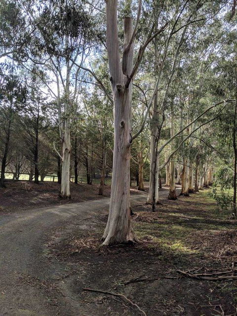 Kangaroo Manor - Northern Rivers Accommodation 10