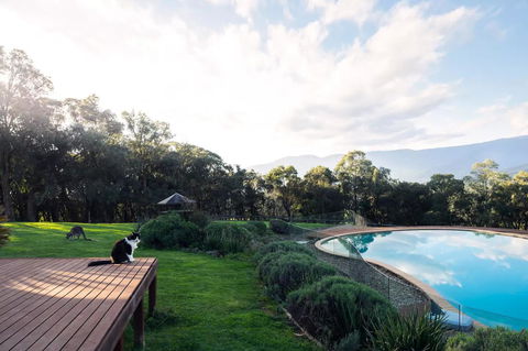 Kangaroo Manor - Northern Rivers Accommodation 23