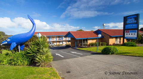 Blue Whale Motor Inn & Apartments - Northern Rivers Accommodation 0