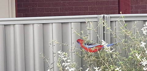 Torquay Timeout - Northern Rivers Accommodation 14