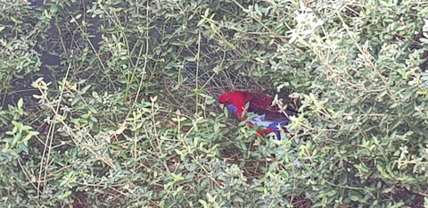 Torquay Timeout - Northern Rivers Accommodation 16