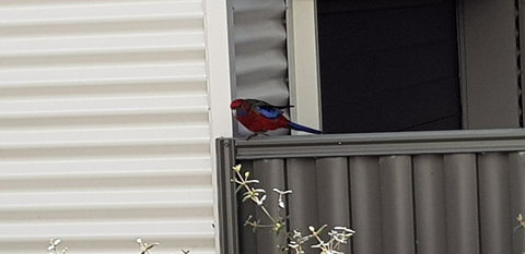 Torquay Timeout - Northern Rivers Accommodation 15