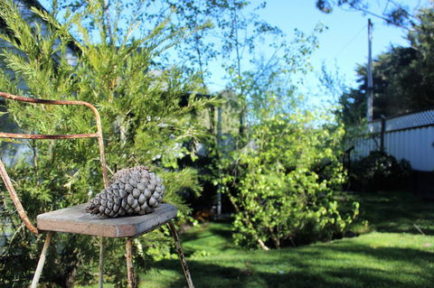 Cottage 4A - Northern Rivers Accommodation 13