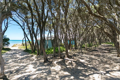 Perfect Blairgowrie Beach House - Northern Rivers Accommodation 17