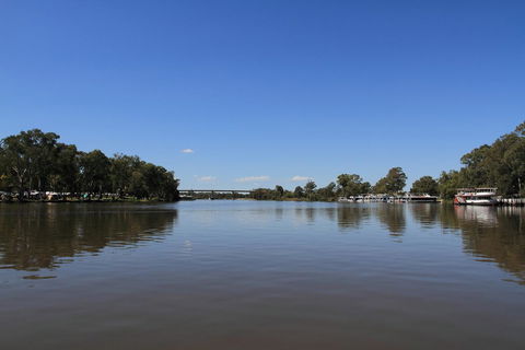 Ditto Daddy's - Northern Rivers Accommodation 14