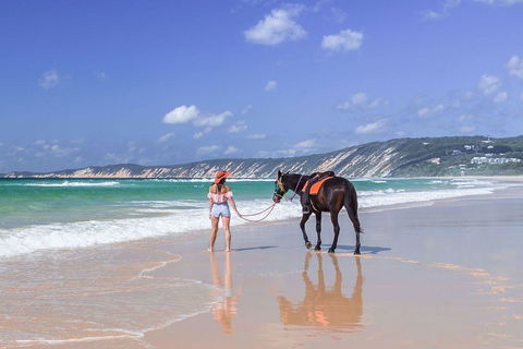 Salty Vibes Retreat - Northern Rivers Accommodation 0