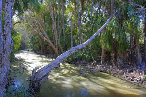 Sandcastles 1770 Motel & Resort - Northern Rivers Accommodation 18
