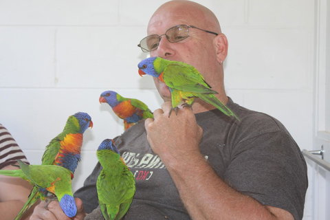 Amaroo On Mandalay, Magnetic Island - Northern Rivers Accommodation 33