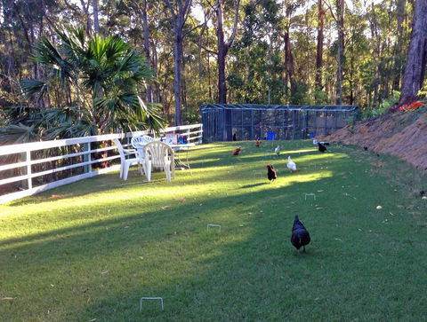 Noosa Hinterland Retreat - Northern Rivers Accommodation 11