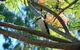 Sanctuary Palm Cove - thumb 7