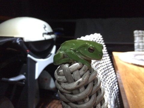 Bed & Breakfast 1 Bedroom Guest House - Northern Rivers Accommodation 43