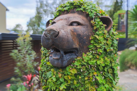 Bed & Breakfast 1 Bedroom Guest House - Northern Rivers Accommodation 44