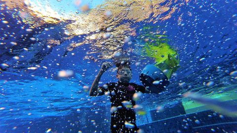 Martinique Whitsunday Resort - Northern Rivers Accommodation 22