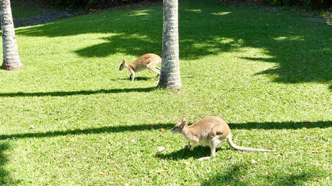 Argosy On The Beach - Northern Rivers Accommodation 15
