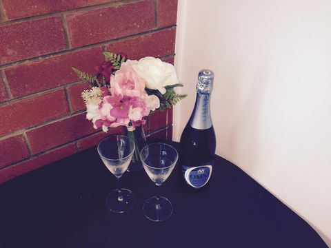 XYL Pets Friendly Seaside Boutique Guesthouse - Northern Rivers Accommodation 26