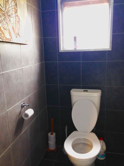 XYL Pets Friendly Seaside Boutique Guesthouse - Northern Rivers Accommodation 5