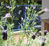 Surfers Beach Resort One - Northern Rivers Accommodation