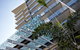 Verve On Cotton Tree - thumb 11