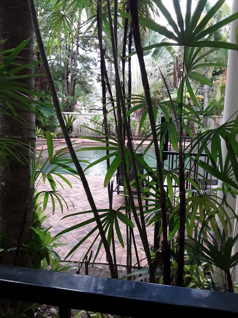 Jackies Holiday Apartment - Northern Rivers Accommodation 13