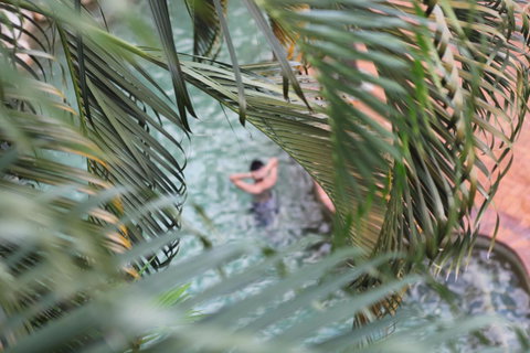 Coral Tree Inn - Northern Rivers Accommodation 36