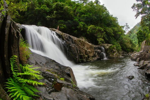 Coral Tree Inn - Northern Rivers Accommodation 40