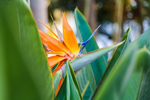 Oscar On Main Beach Resort - Northern Rivers Accommodation 25