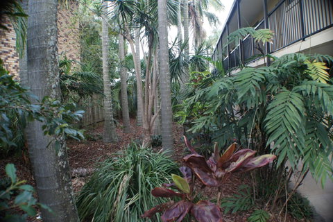 Best Western Airport 85 Motel - Northern Rivers Accommodation 34