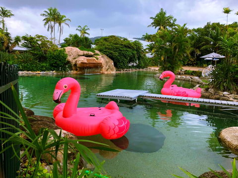 Cairns Colonial Club Resort - Northern Rivers Accommodation 6