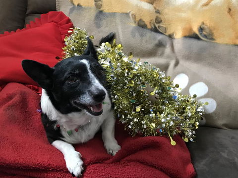 Nanango Star Motel - Northern Rivers Accommodation 14