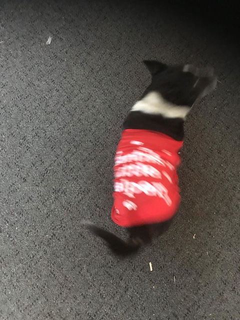 Nanango Star Motel - Northern Rivers Accommodation 1